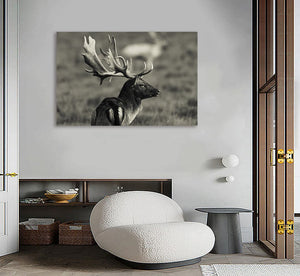 Pine Stretched  Framed 1 Panel - fallow Deer