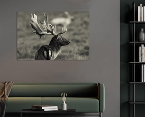 Pine Stretched  Framed 1 Panel - fallow Deer
