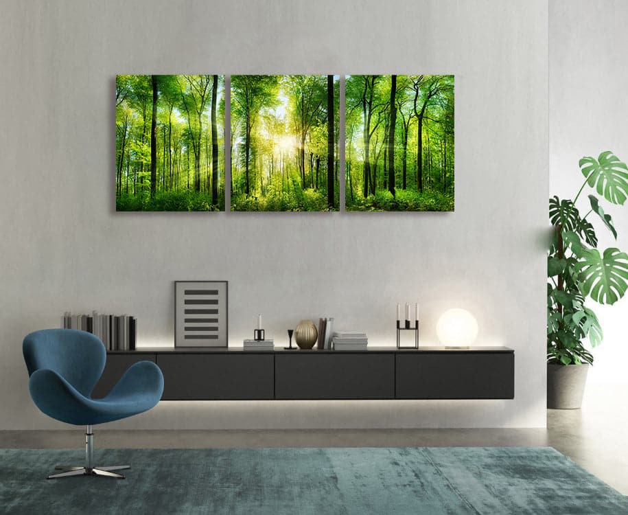 Framed 3 Panels - Forest panorama with rays of sunlight