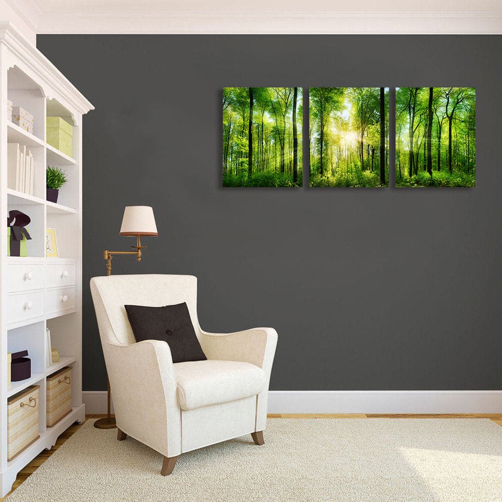 Framed 3 Panels - Forest panorama with rays of sunlight