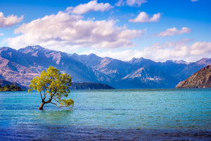 Framed 1 Panel - Lake Wanaka