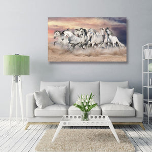 Framed 1 Panel - White Horses