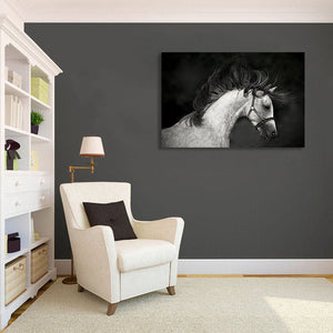 Framed 1 Panel - Horse