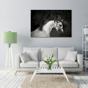 Framed 1 Panel - Horse