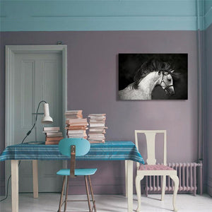 Framed 1 Panel - Horse