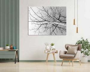 Pine Stretched  Framed 1 Panel - Tree