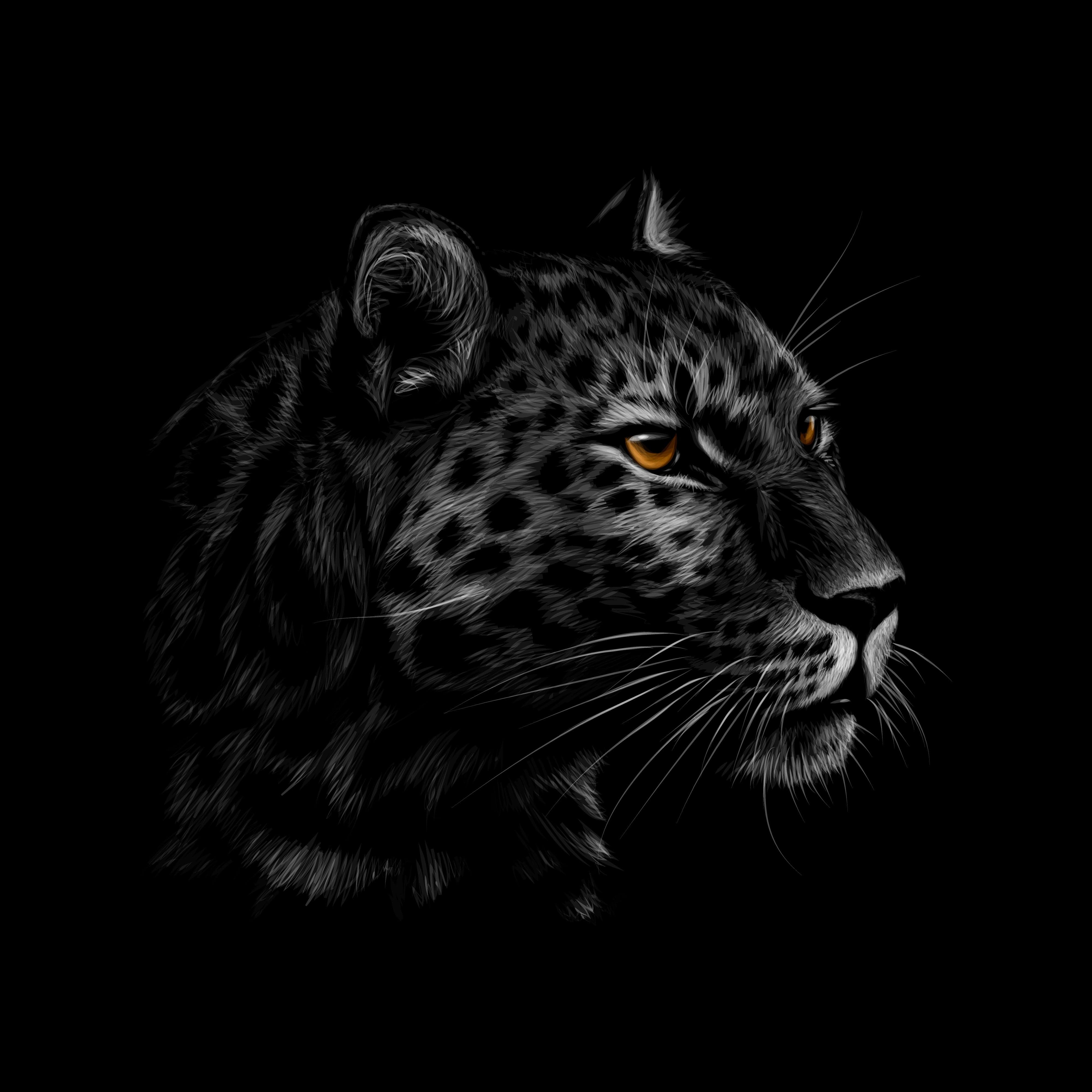 Framed 1 Panel - Leopard