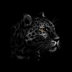 Framed 1 Panel - Leopard