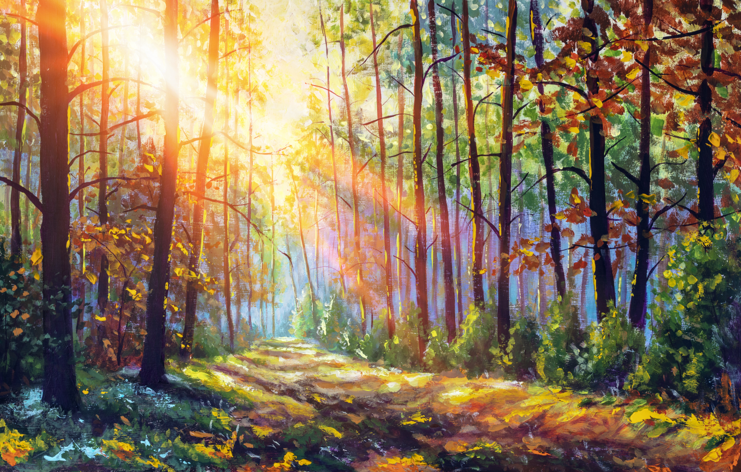 Framed 1 Panel - Autumn Forest in Morning Sunlight