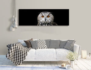 Pine Stretched  Framed 1 Panel - Owl Portrait