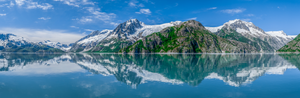 Framed 1 Panel - Kenai Fjords Panorama