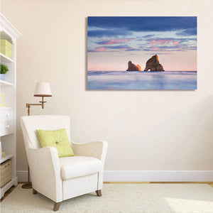 Pine Stretched  Framed 1 Panel - Rocky Islands, Sand Dunes, Wharariki Beach