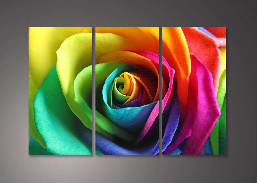 Pine Stretched  Framed 3 Panels - Rainbow Rose