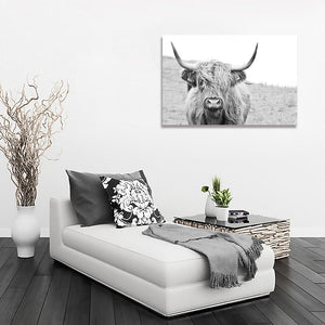 Framed 1 Panel - Highlander Cow