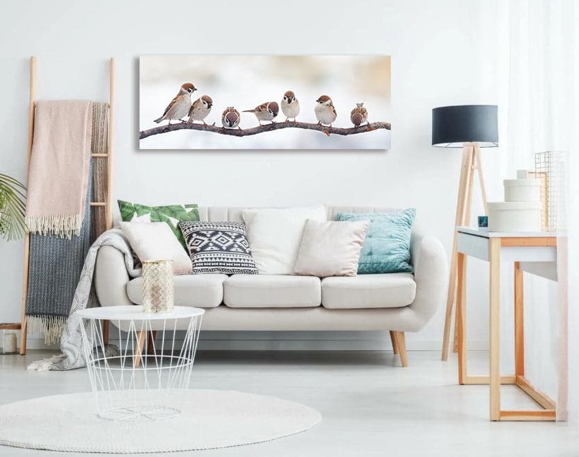 Pine Stretched  Framed 1 Panel - Funny Birds Sparrows Sitting on a Branch