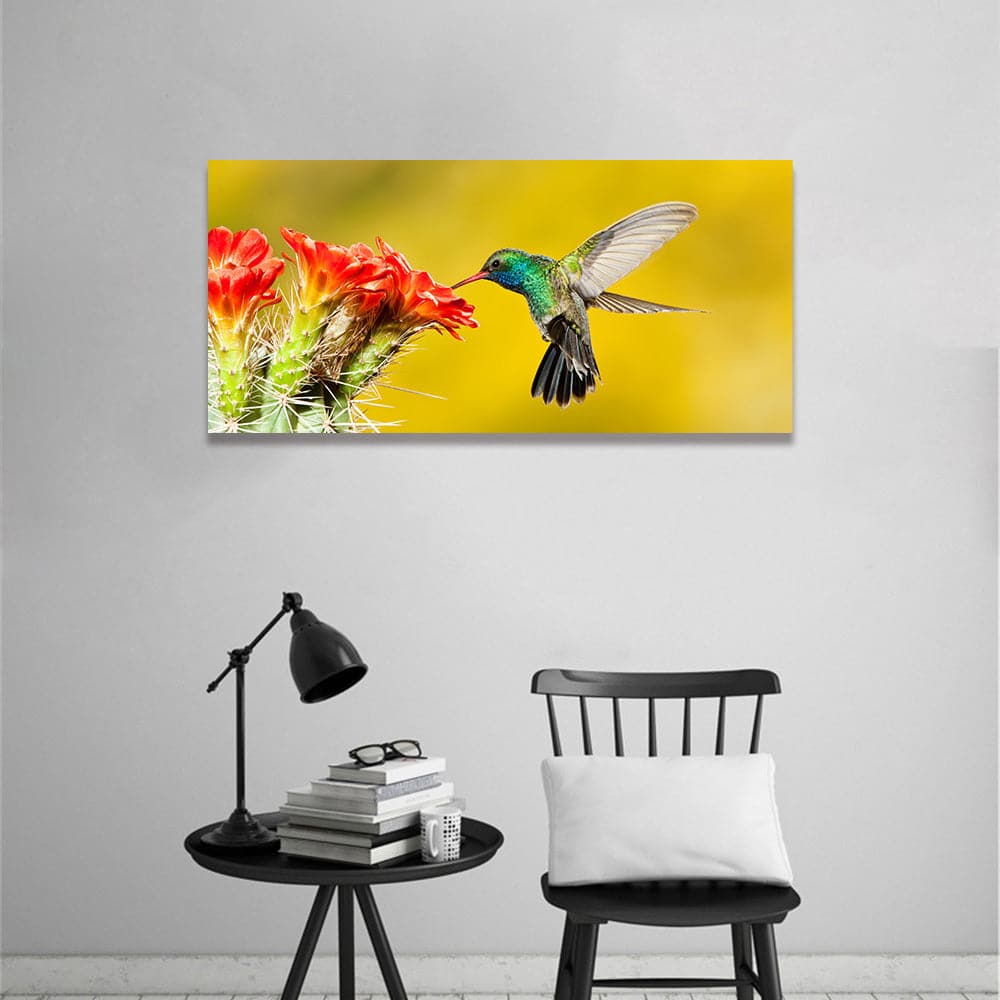 Framed 1 Panel - Broad Billed Hummingbird