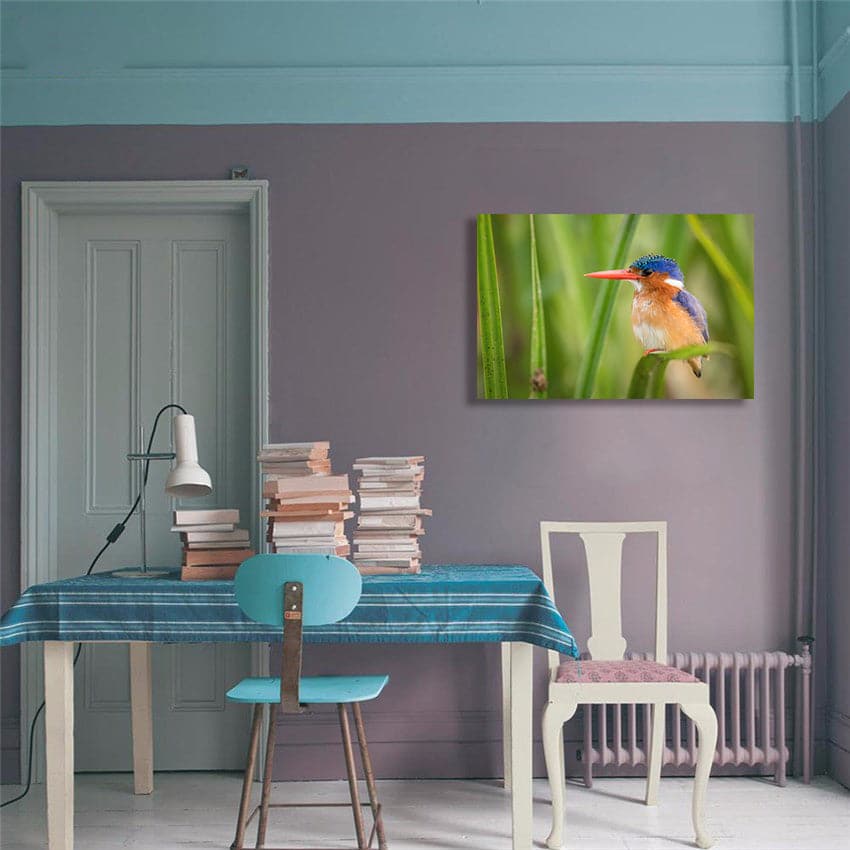 Pine Stretched  Framed 1 Panel - The Malachite Kingfisher