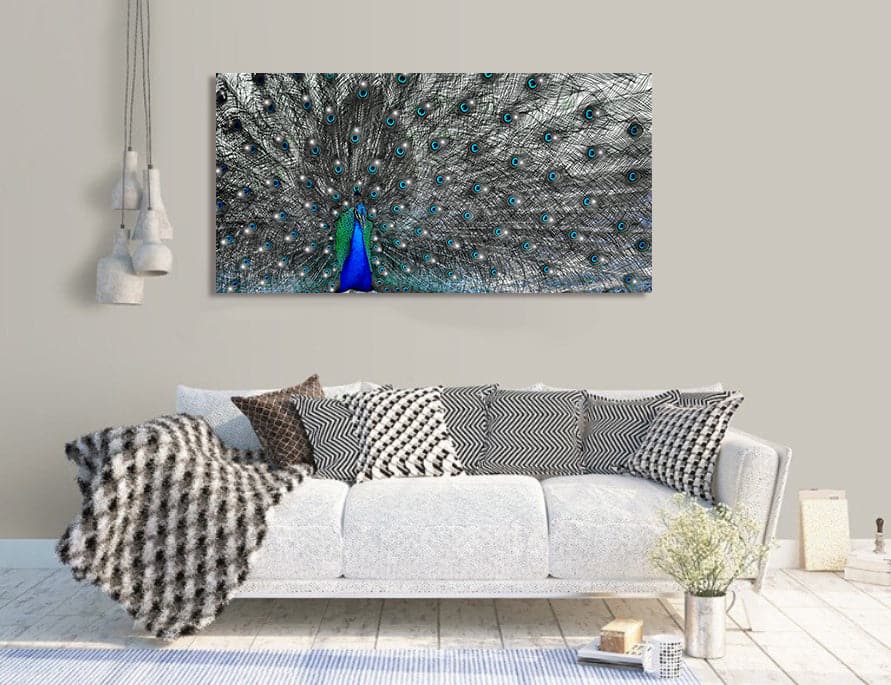 Framed 1 Panel - Peacock