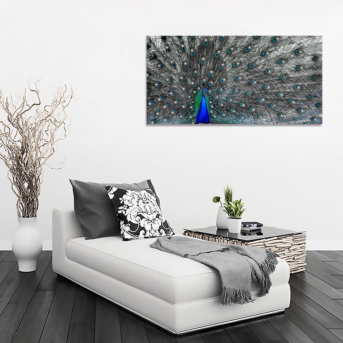 Framed 1 Panel - Peacock