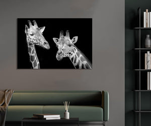 Framed 1 Panel - Giraffes