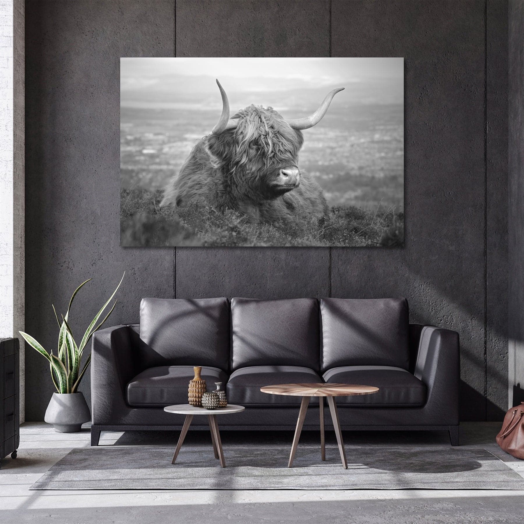Framed 1 Panel - Highland Cow