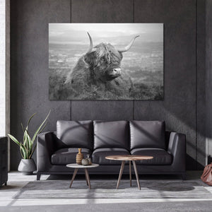 Framed 1 Panel - Highland Cow