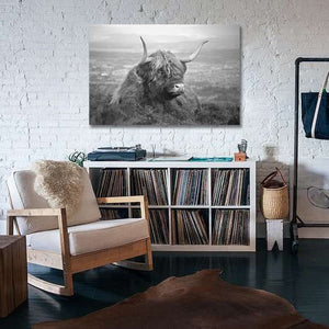 Framed 1 Panel - Highland Cow