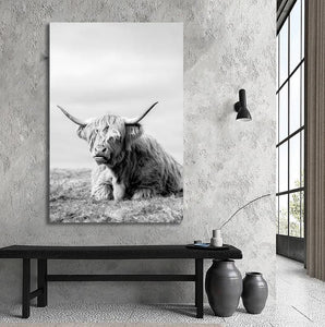 Framed 1 Panel - Highland Cow