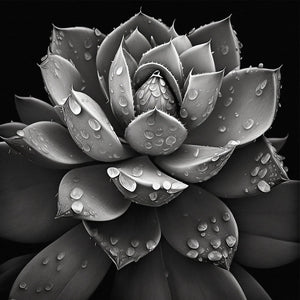 black and white succulent prints Modern Botanical Canvas Wall Art Print Poster | Home Decor