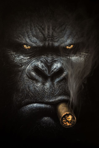 Pine Stretched  Framed 1 Panel - Smoking Gorilla