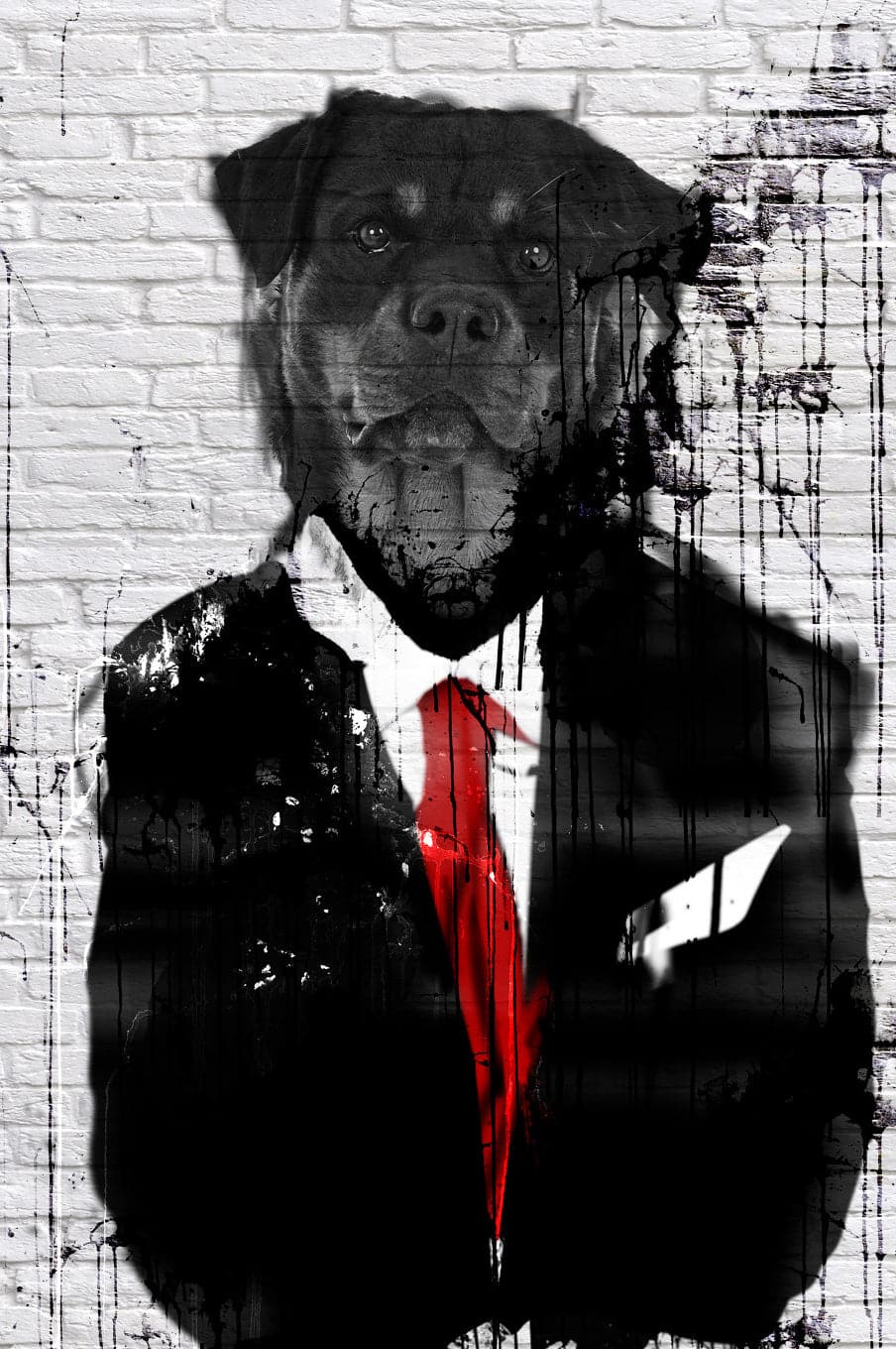 Pine Stretched  Framed 1 Panel - Mr. Rottweiler