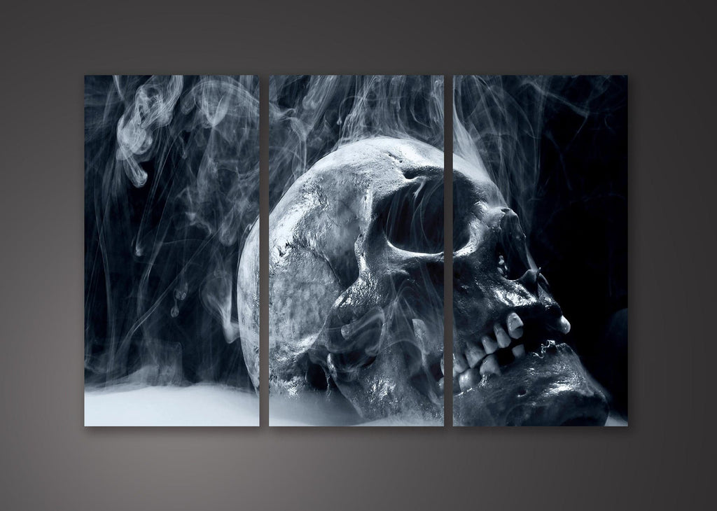 Framed 3 Panels - Skull