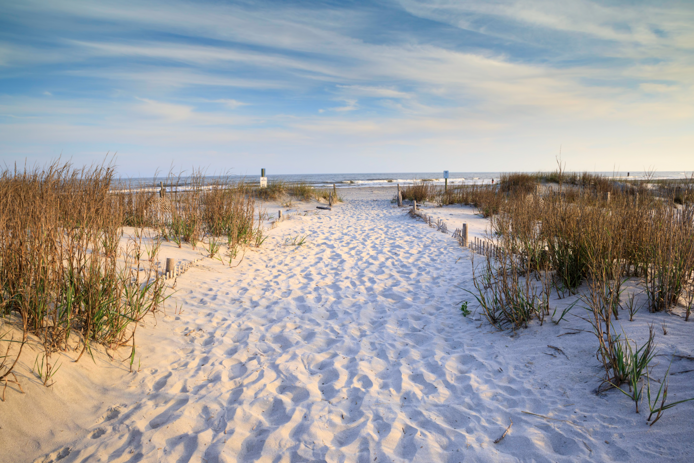 Pine Stretched  Framed 1 Panel - Folly Beach