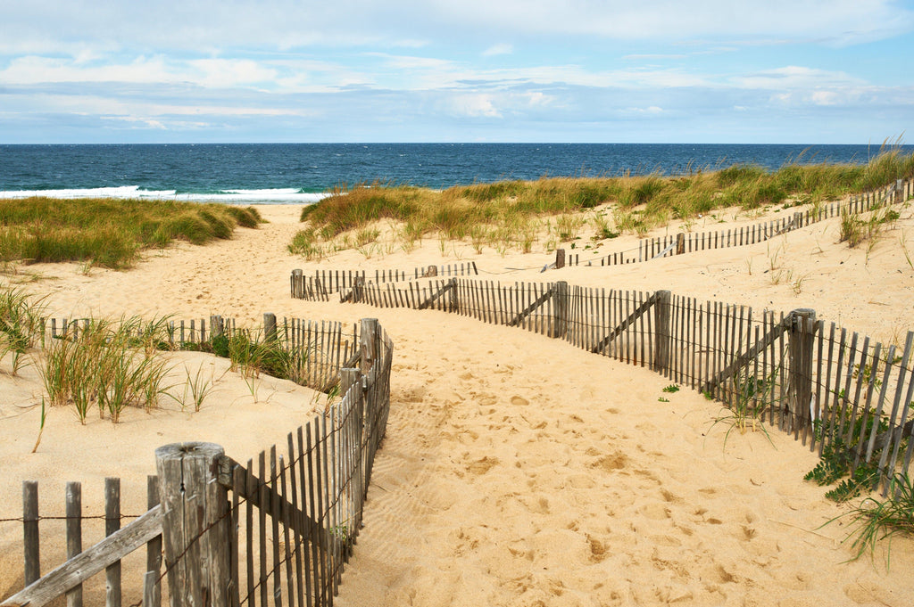 Framed 1 Panel - Path way to the beach at Cape Cod