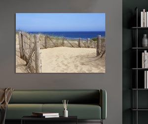 Pine Stretched  Framed 1 Panel - Race Point, Provincetown, MA