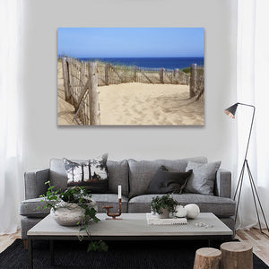 Pine Stretched  Framed 1 Panel - Race Point, Provincetown, MA