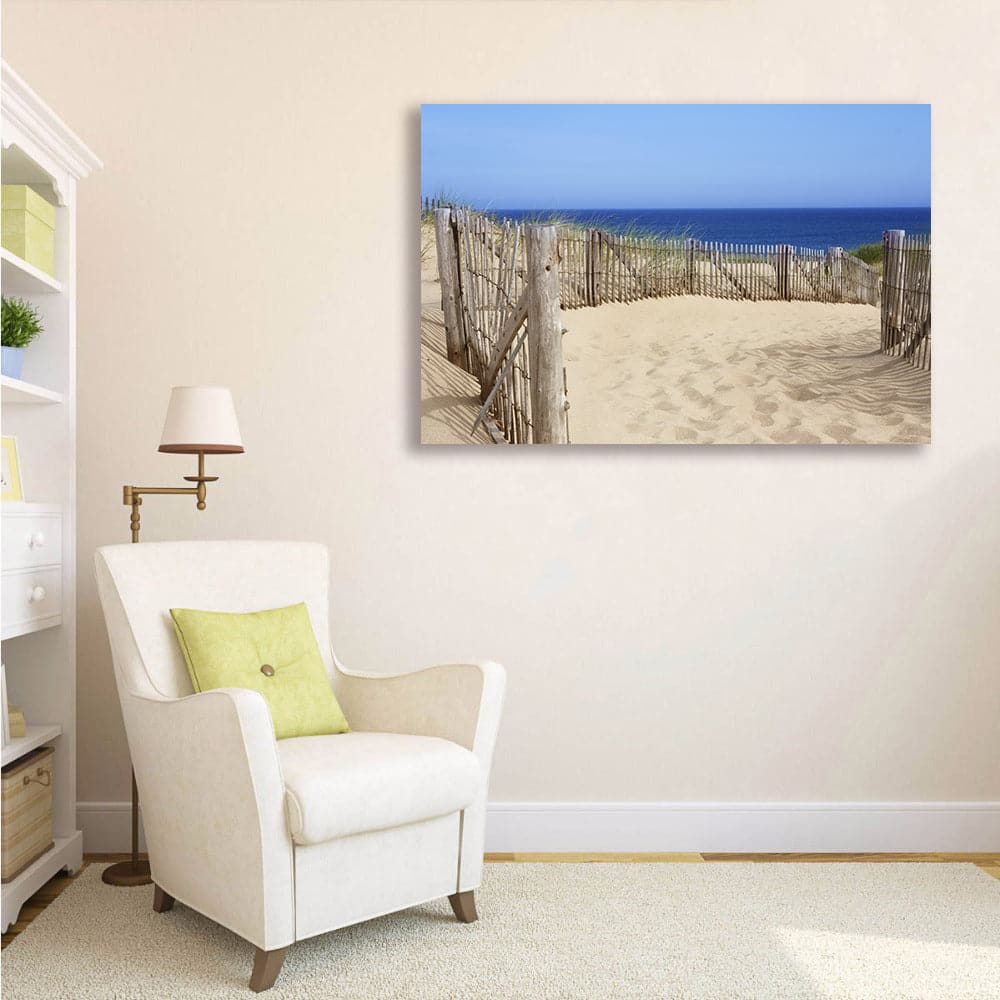 Pine Stretched  Framed 1 Panel - Race Point, Provincetown, MA