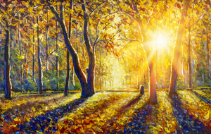 Framed 1 Panel - Panorama Of Gorgeous Autumn Forest