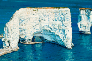 Pine Stretched  Framed 1 Panel - Chalk Cliffs Of Etretat