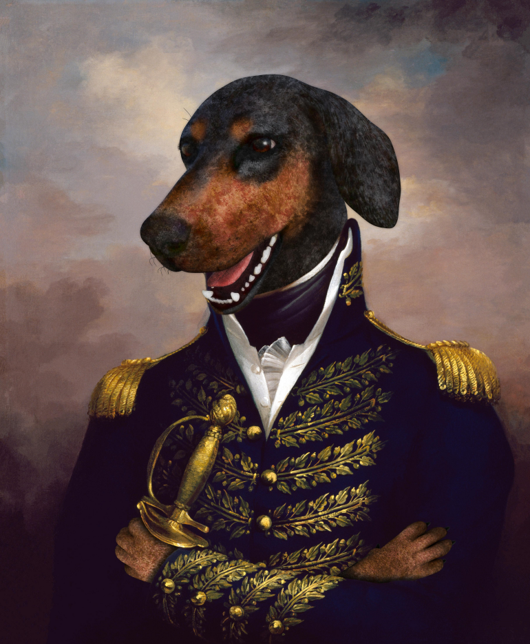 Pine Stretched  Framed 1 Panel - Doberman