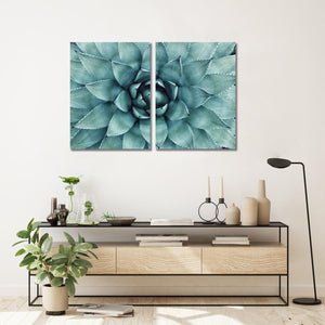 Framed 2 Panels - Succulents