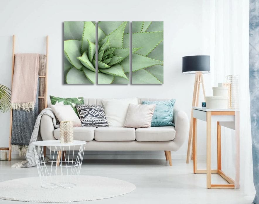 Pine Stretched  Framed 3 Panels  - Succulents