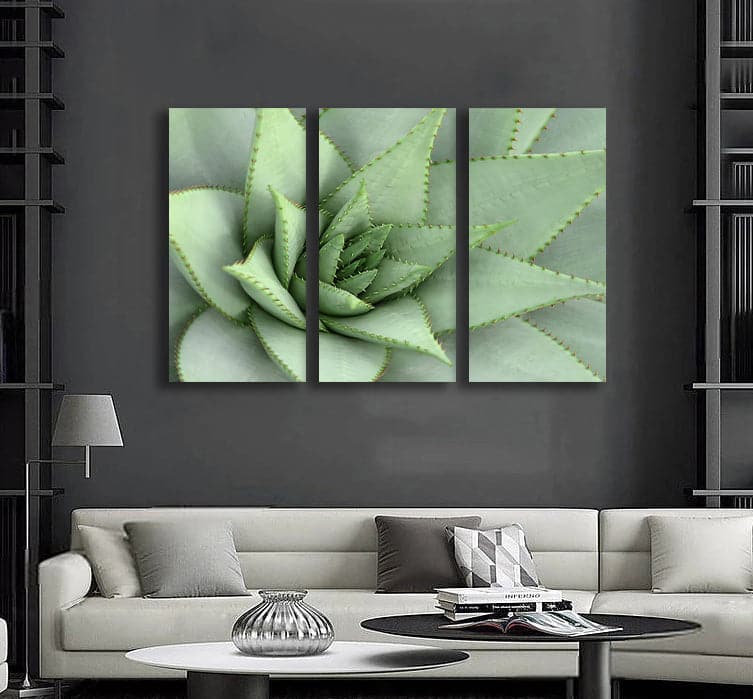 Pine Stretched  Framed 3 Panels  - Succulents