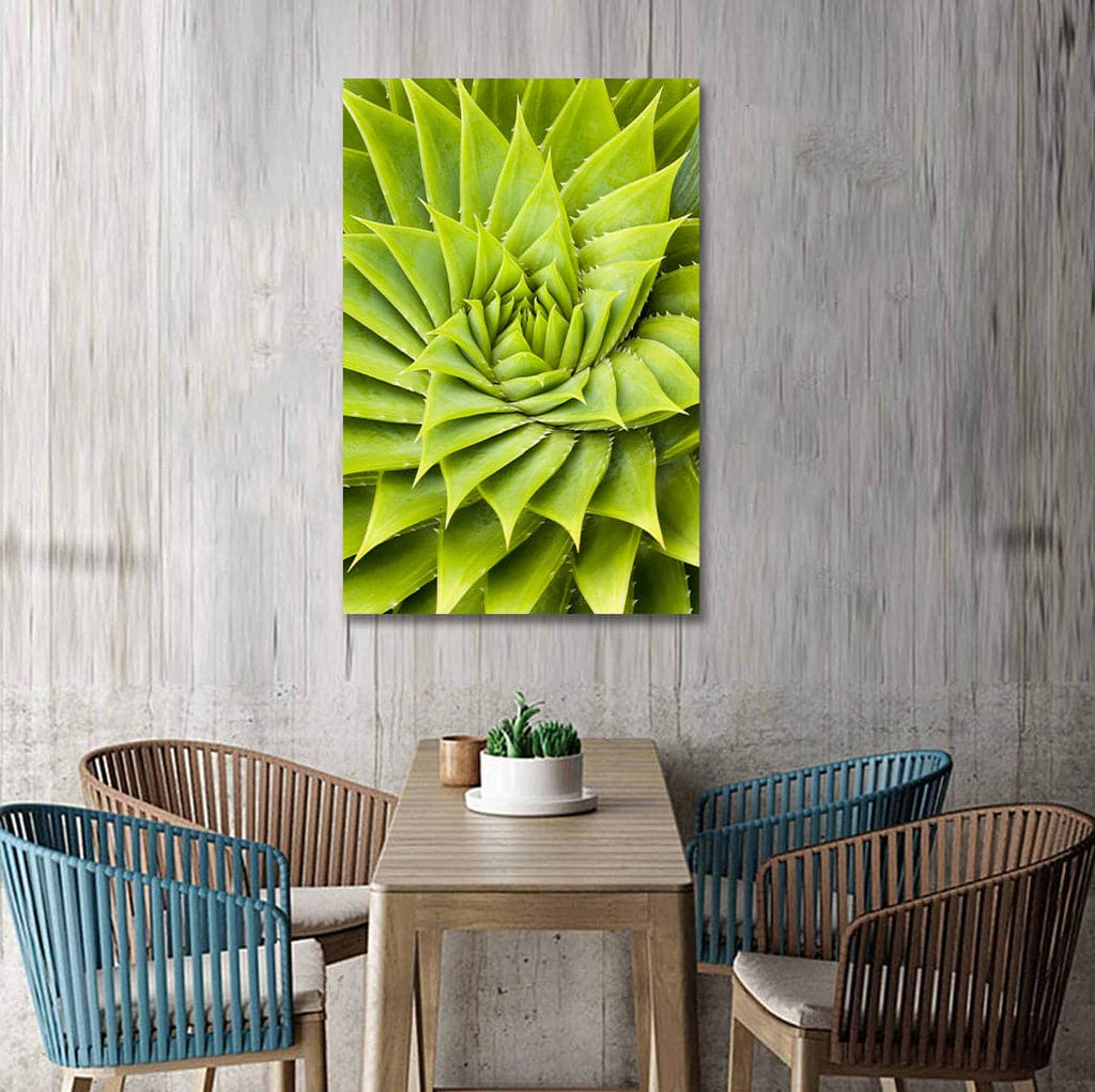 Pine Stretched  Framed 1 Panel - Succulents