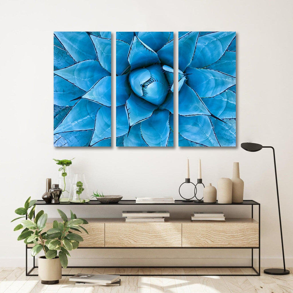 Pine Stretched  Framed 3 Panels  - Blue Agave Plant