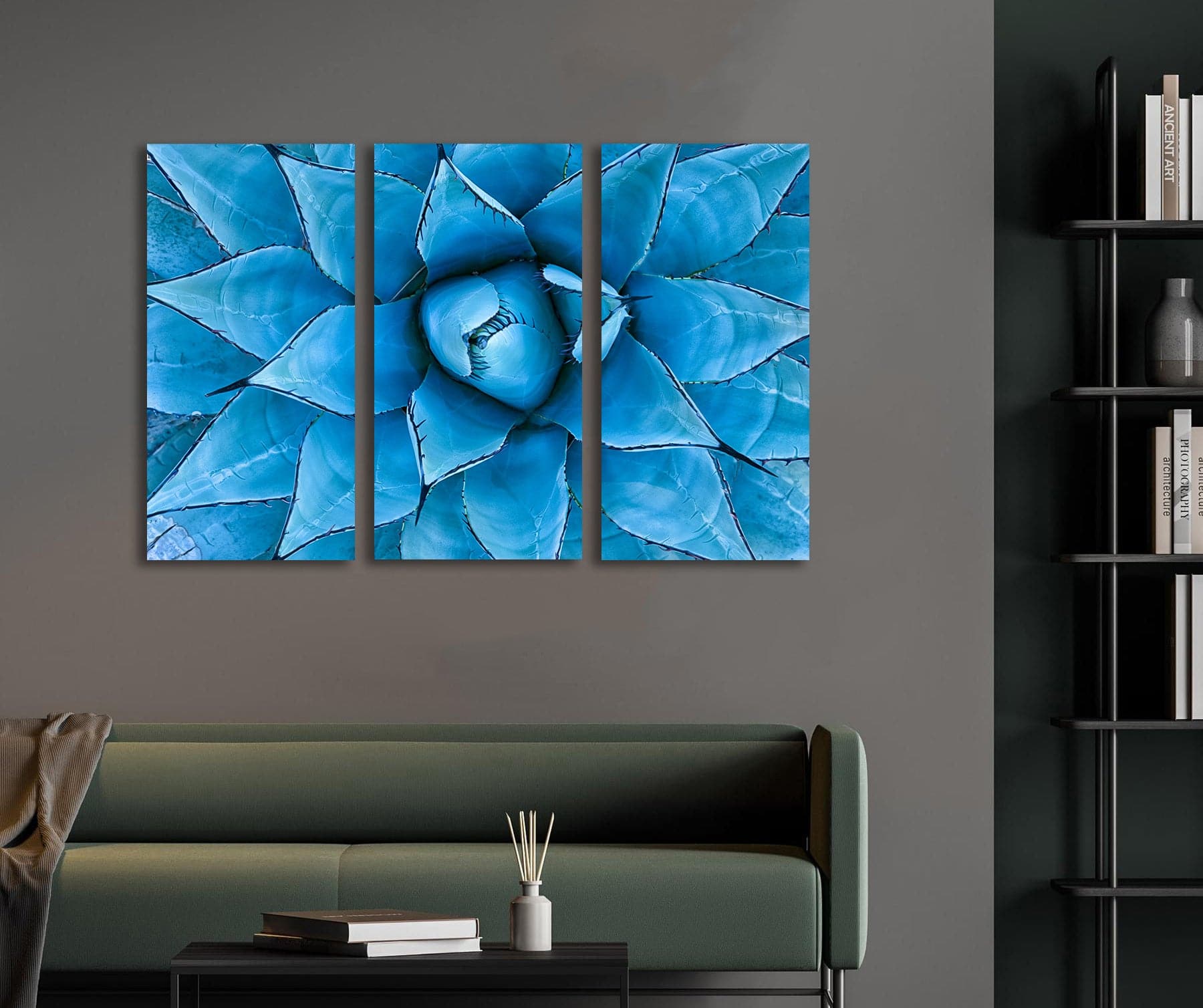 Pine Stretched  Framed 3 Panels  - Blue Agave Plant