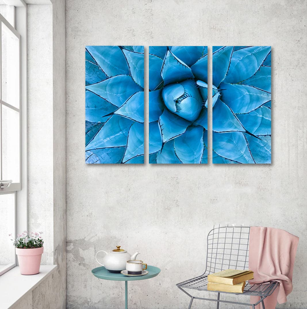 Pine Stretched  Framed 3 Panels  - Blue Agave Plant