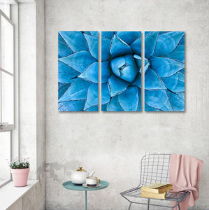 Pine Stretched  Framed 3 Panels  - Blue Agave Plant