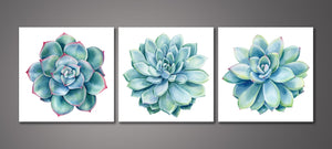 Pine Stretched  Framed 3 Panels - Succulents