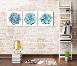 Pine Stretched  Framed 3 Panels - Succulents